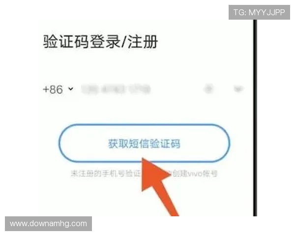 皇冠登录手机官网官方平台介绍,全面了解登录流程与安全保障 皇冠登录手机官网官方平台介绍,全面了解登录流程与安全保障