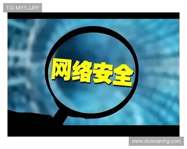 最新AG视讯会员登录安全措施解析,保障你的账号信息安全与个人隐私保护