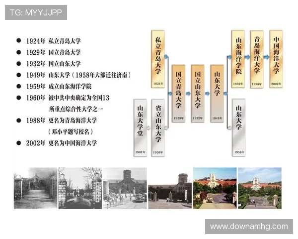 探索皇冠韩国的历史沿革与发展历程品牌背后的故事