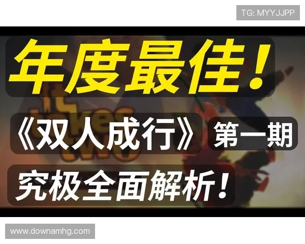 全面解析真人游戏的基本规则与玩法流程提升你的游戏体验