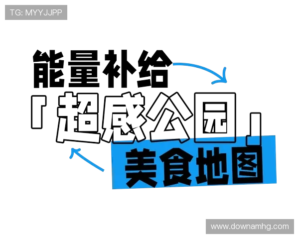 澳门六合彩官网开奖结果实时更新提供专业分析帮助玩家提升中奖概率